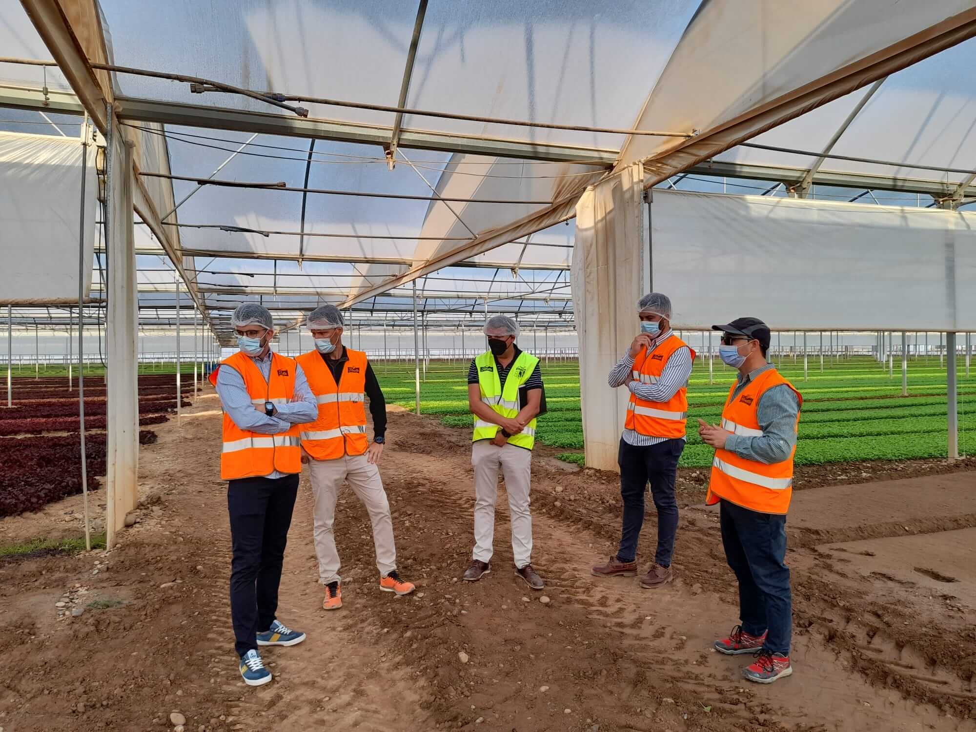 Visit to the Hermanos Torres Cornago greenhouses – September 2021